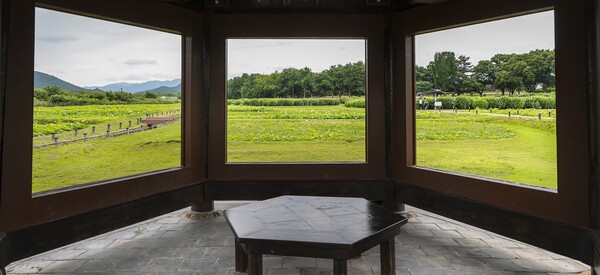 동궁과 월지 연꽃단지 내 정자에서 바라본 연꽃 풍경이 한 폭의 그림 같은 여름 경관을 연출하고 있다.(사진_경주시)