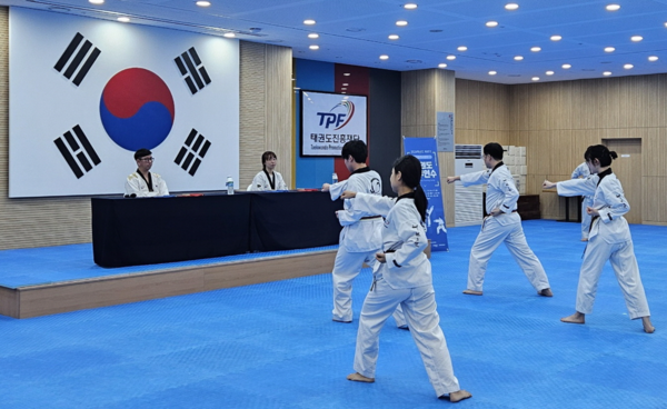 태권도 발표 과정에서 품새를 시연하고 있다. (사진_태권도진흥재단)