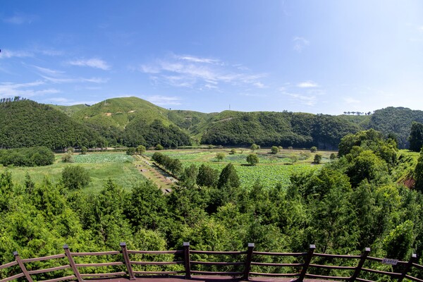 회야댐 생태습지 전경 (사진_울산시)