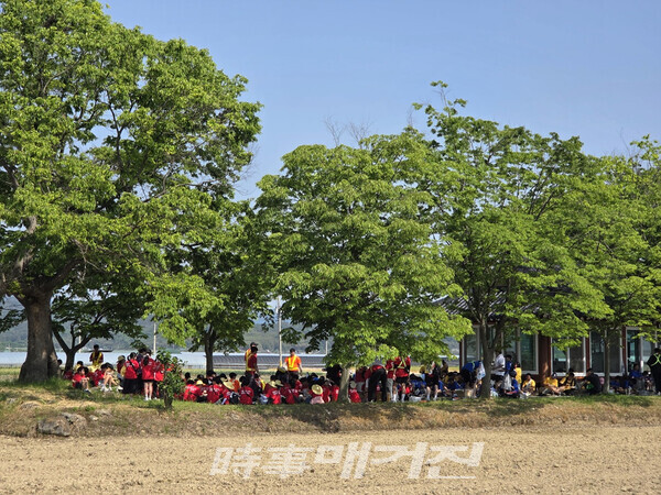 초록의 싱그러운 나무 아래에서 시원하게 아이스크림을 먹으며 쉬고 있는 시간 (사진 정연수 기자)