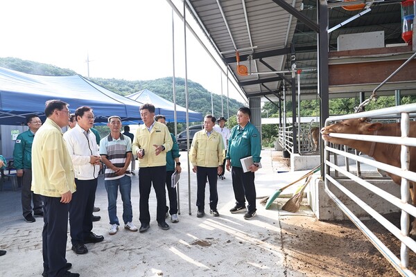 6일 박완수 경남도지사가 합천군 한우농가를 찾아 축사 환경과 가축 건강관리 상태를 살피며 현장 관계자의 설명을 듣고 있다.(사진_경남도)